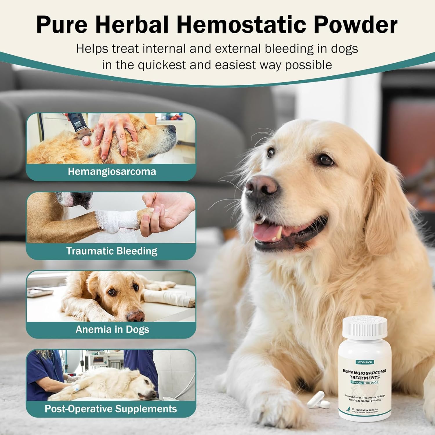 Blood Support for Dogs, Yunan Sanqi Capsules for Dogs for Hemangiosarcoma, Hemoabdomen, Pericardial Effusion, Cancer Bleeding, Severe Bruising, Ulcer-Related Bleeding, Bloody Stools - 60 Capsules