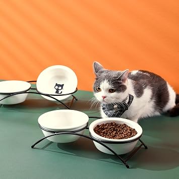 ZONEYILA Elevated Cat Bowls, Dog Bowl, Ceramic Raised Cat Food Water Bowl Set with Metal Stand for Indoor Cats Small Dog, Prevent Neck Pain,12 Ounces, Cute Paw Pattern