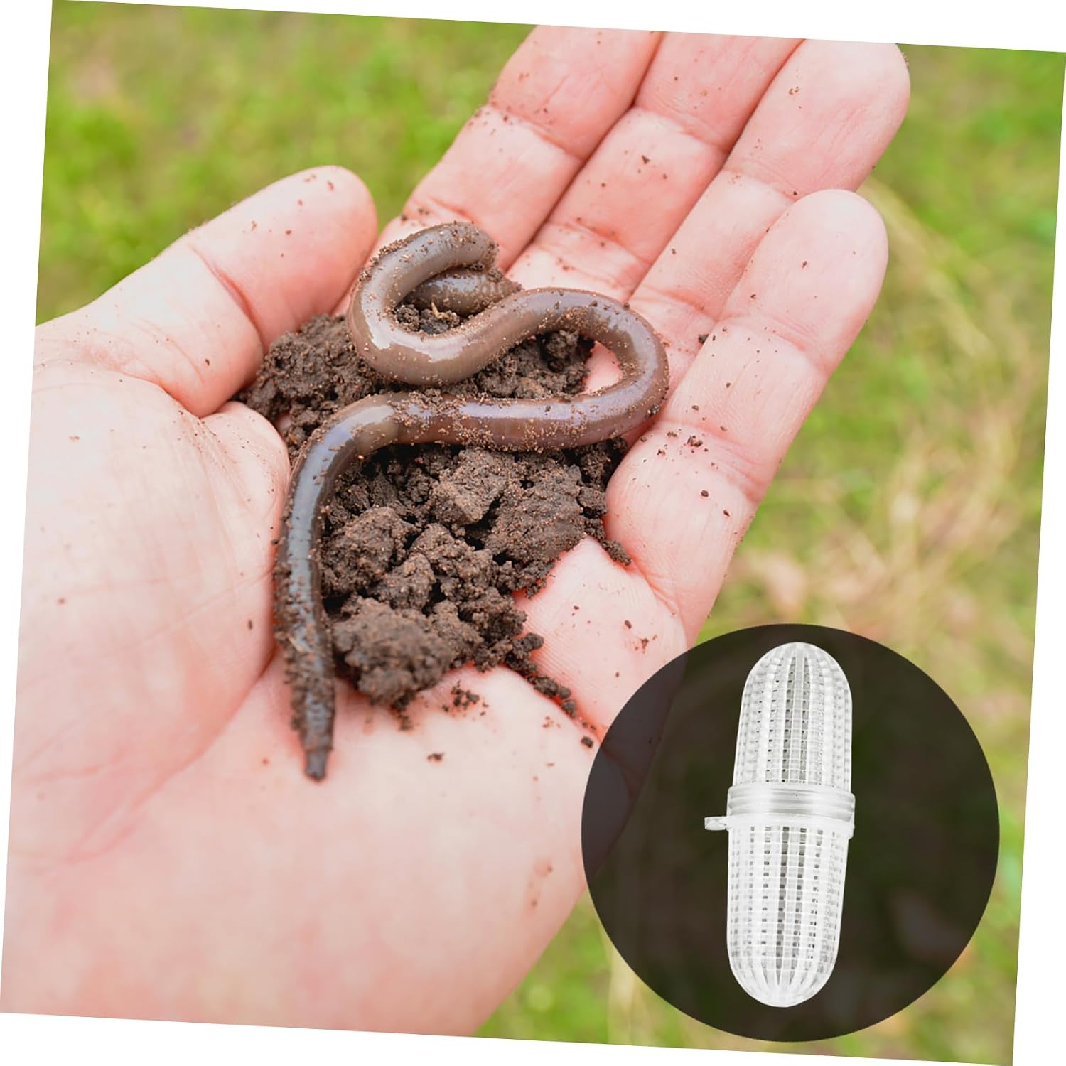 UPKOCH Bait Indoor Keeper Professional Keeper Container Keeper Portable Keeper Feeding Accessories Plastic