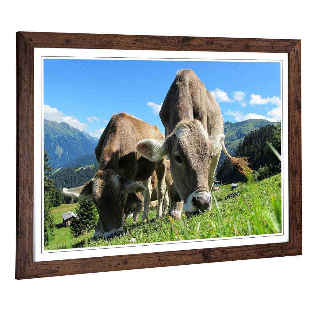 Big Box Art Framed Print of Mountain Landscape Cows Design | Wall Art Picture | Home Decor for Kitchen, Living, Dining Room, Bedroom, Hallway, Office, Walnut, A2 / 24.5x18 Inch / 62x45cm