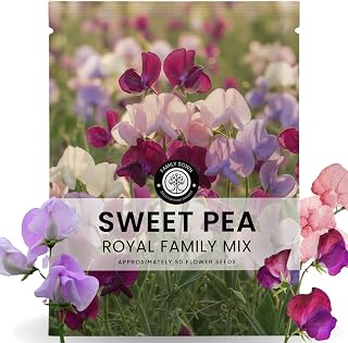 Royal Family Mix Sweet Pea Seeds image