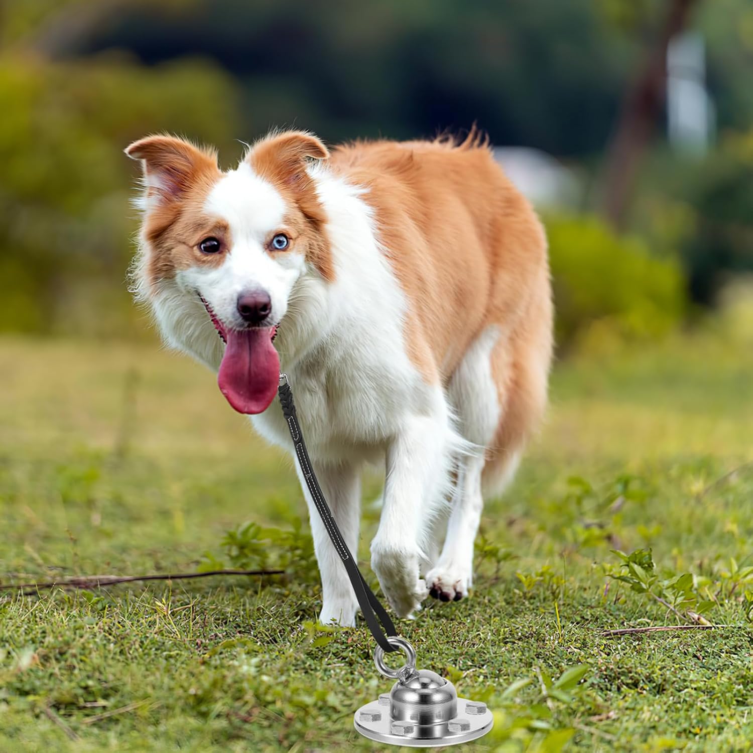 VICASKY Dog Tie Out Stake Cable Rotation Ground Stake Anchor for Dogs Easy Installation Lightweight