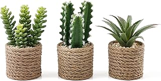 3-Pack Artificial Succulent Plants in Vintage Plastic Pots - Fake Waterp...