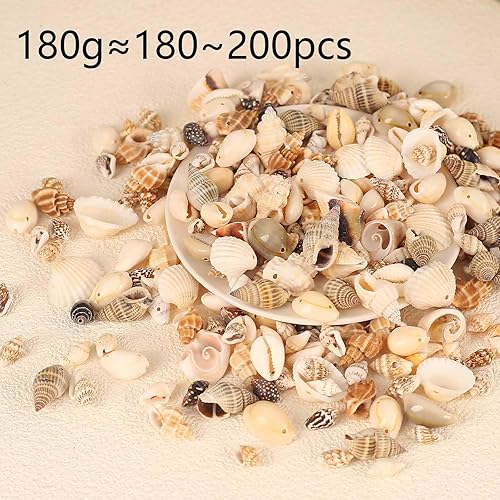 Miniatura 2 de Conchas marinas mixtas de 6.35 oz de océano, conchas marinas en espiral naturales diminutas para decoración del hogar, boda, jarrón de pecera,