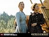 Into the West [4 DVDs]