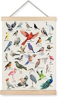 JINYO Bird Wall Decor, Bird Wall Art Poster, Bird Pictures Wall Decor, Bird Decor