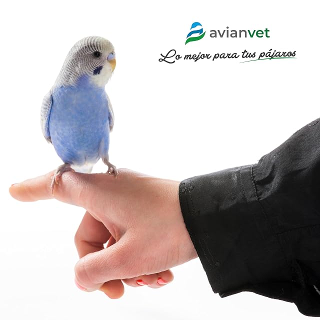 Foto 4 de 4 de AVIANVET Muda - Suplemento Alimenticio para Pájaros en Época de Muda y Cambio de Plumaje 15 ml