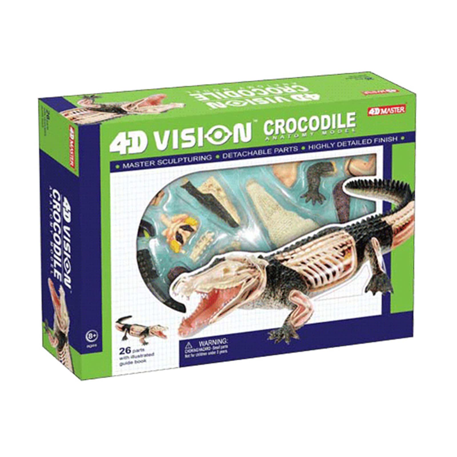 Amazon.co.jp: ワニ解剖モデル–26件の解体解剖可能動物モデル、医学