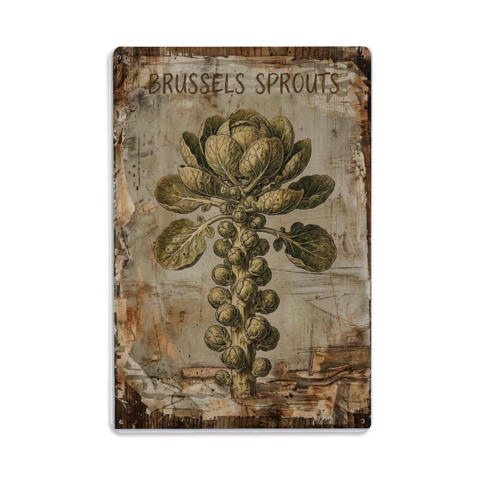 Fqnyr Style Brussels Sprouts Vegetable Metal Tin Sign Plaque Wall Decor For Cafe, Club Bar, Office, Home Garden Metal Poster 8X12inch