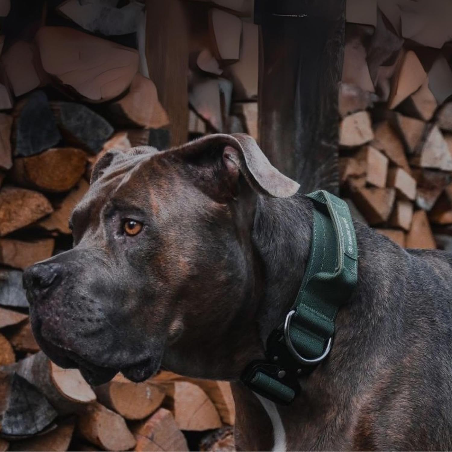 Spark Paws Tactical Dog Collar - Heavy Duty, Premium Quality, Thick and Durable for Large and Medium Dogs - Solid Green - XS - 1"