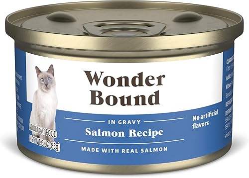 Marca Tienda Wonder Bound Alimento húmedo para gatos, salsa, latas de 3 onzas, paquete de 24 (salmón)