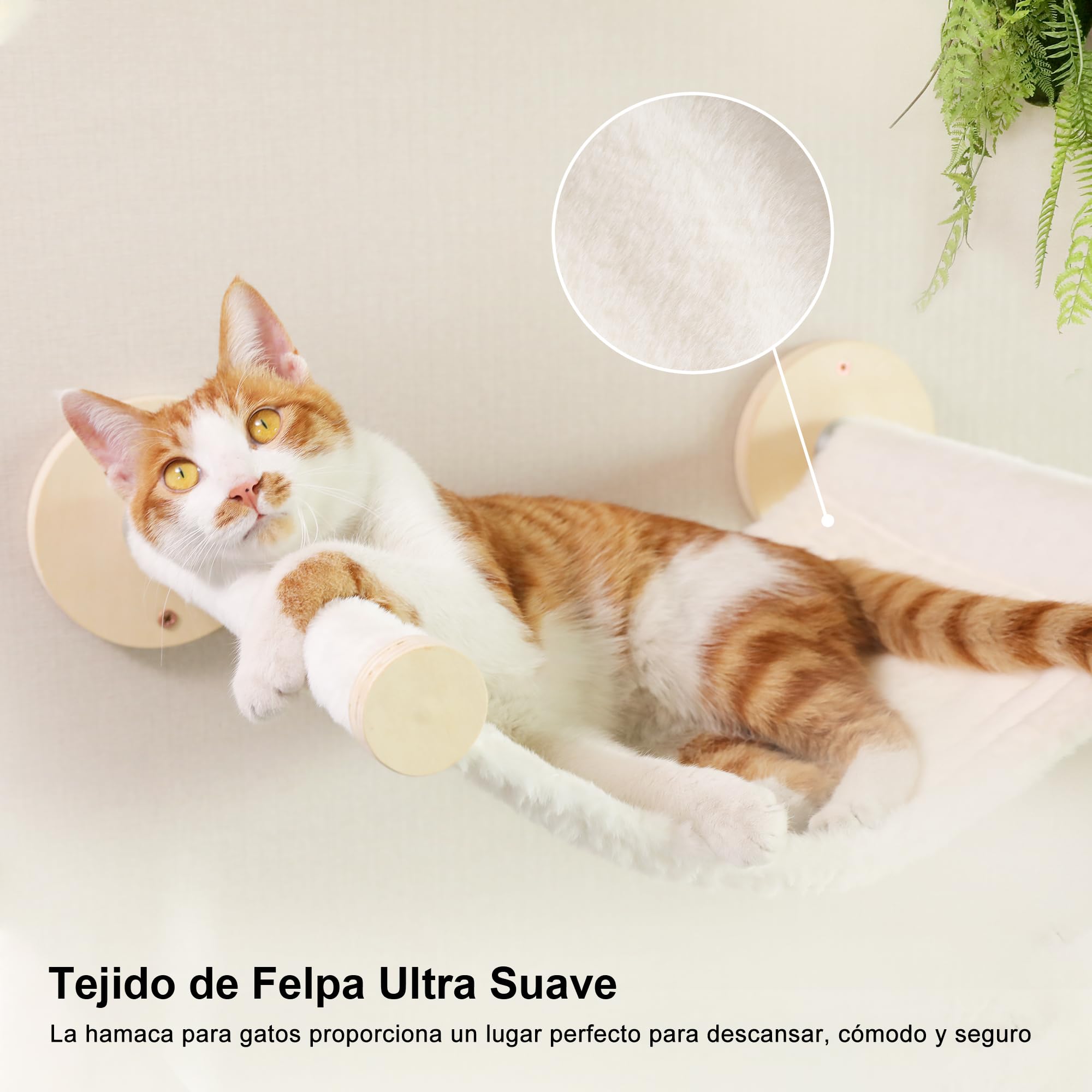 FUKUMARU Estantes de pared para gatos, juego de muebles de pared de madera estable, 5 piezas, escalador de gatitos con hamaca, casa, escalones, poste rascador, beige
