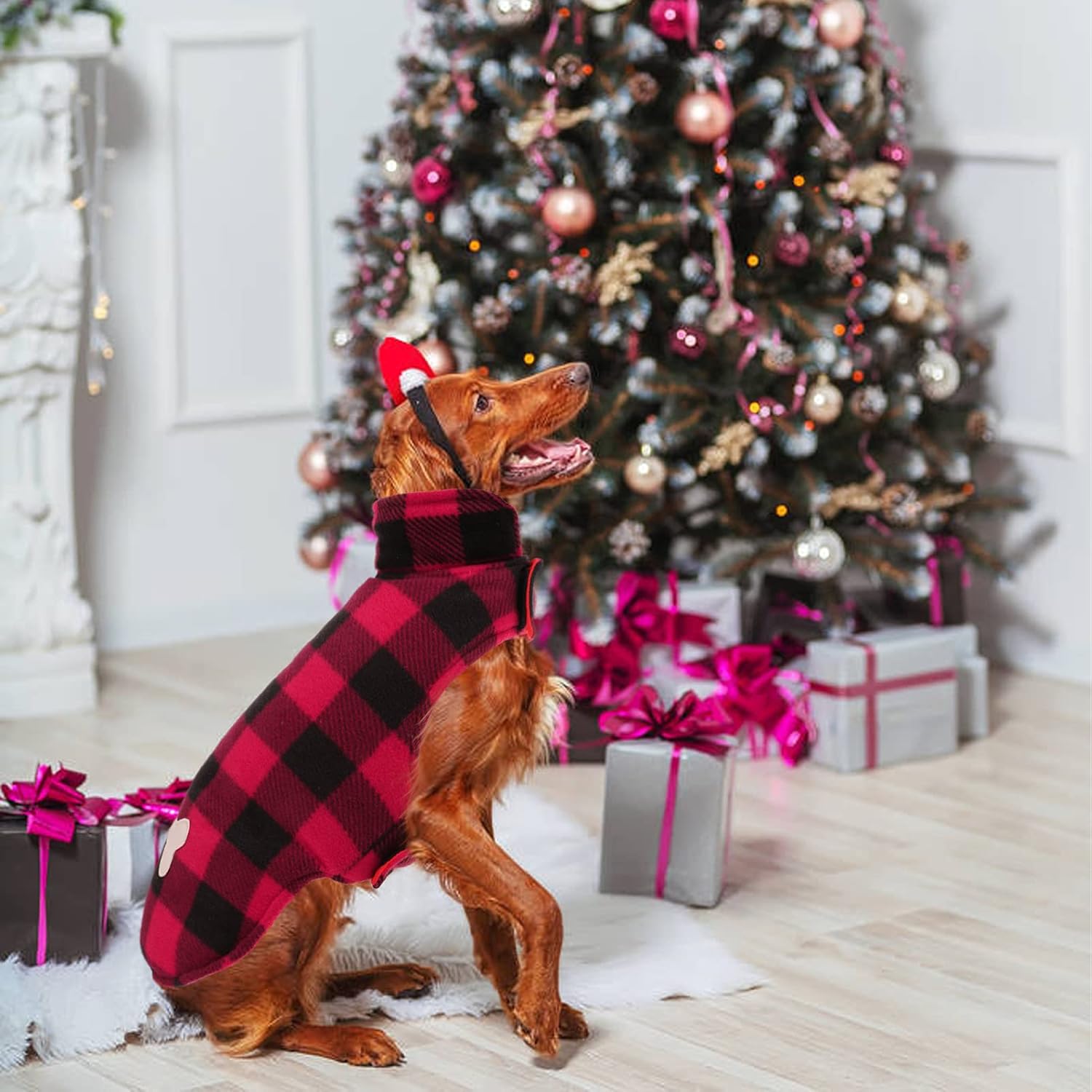 Dasior Dog Winter Coat, Classic Plaid Reversible Jacket for Pet Cold Weather Clothing (Red, Large) : Pet Supplies