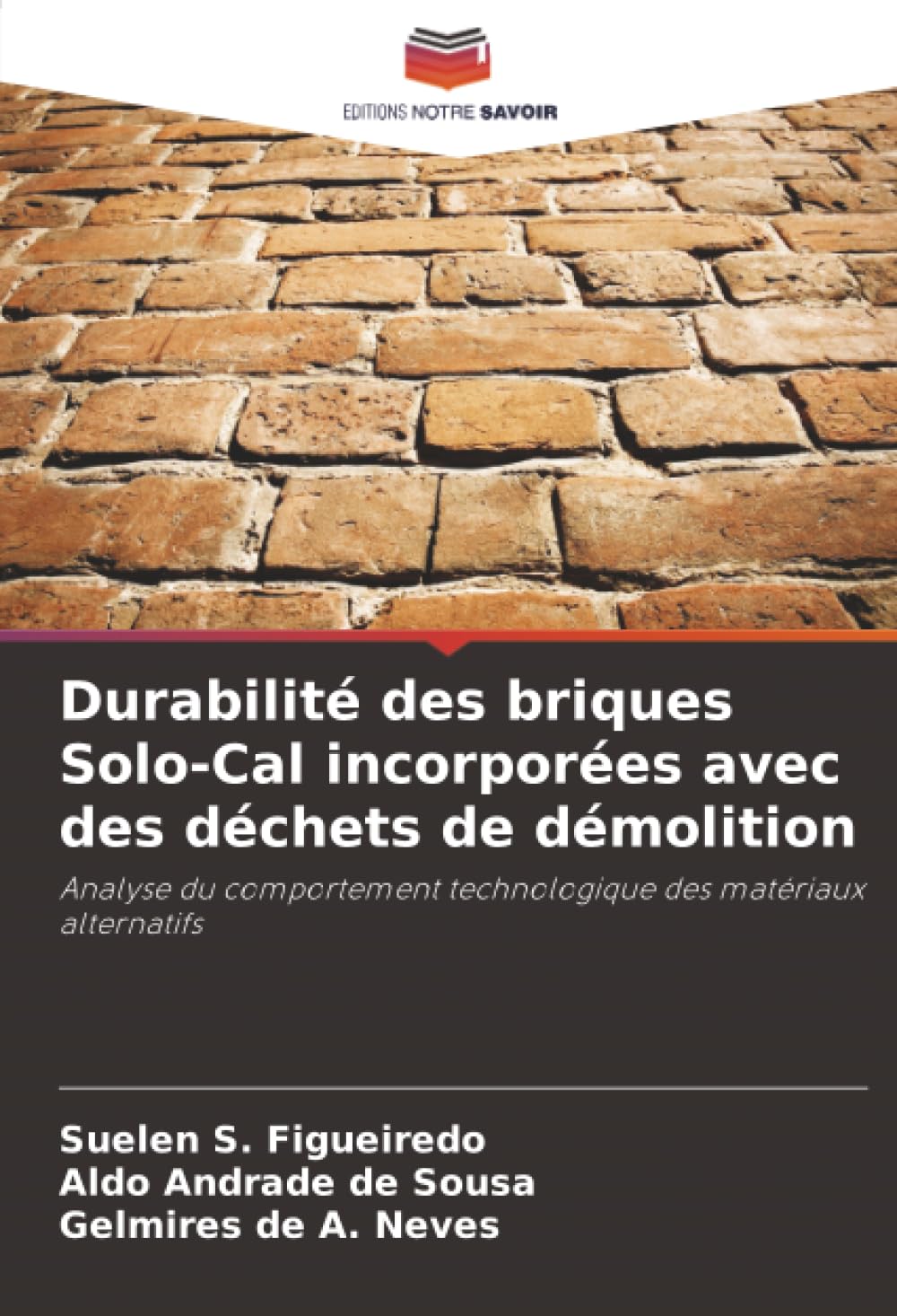Durabilité des briques Solo-Cal incorporées avec des déchets de démolition: Analyse du comportement technologique des matériaux alternatifs