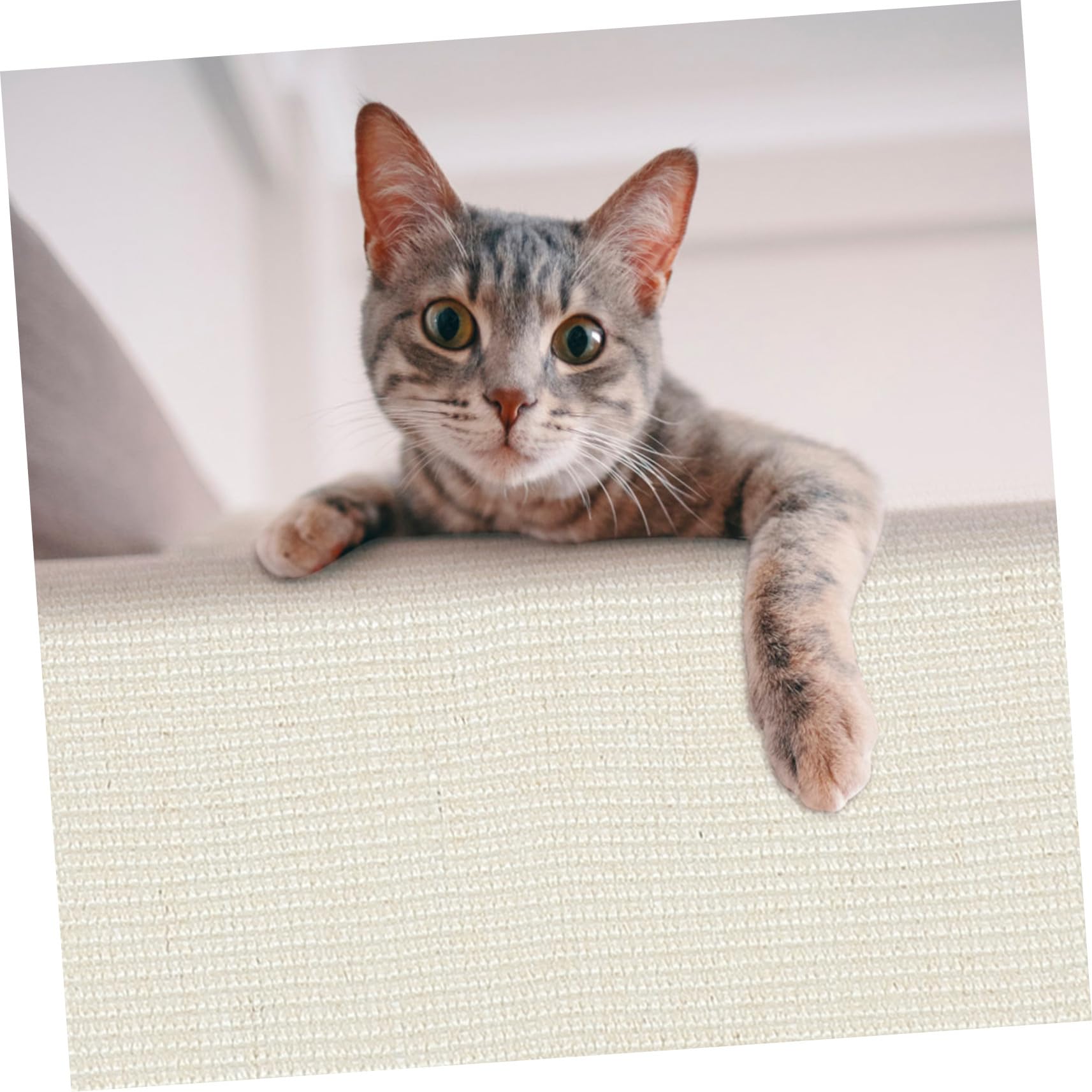Cubierta Antirayaduras para Sofá Garra de Sisal, Protector contra Arañazos para Gatos, Funda Resistente y Entretenida para Casa o Tienda
