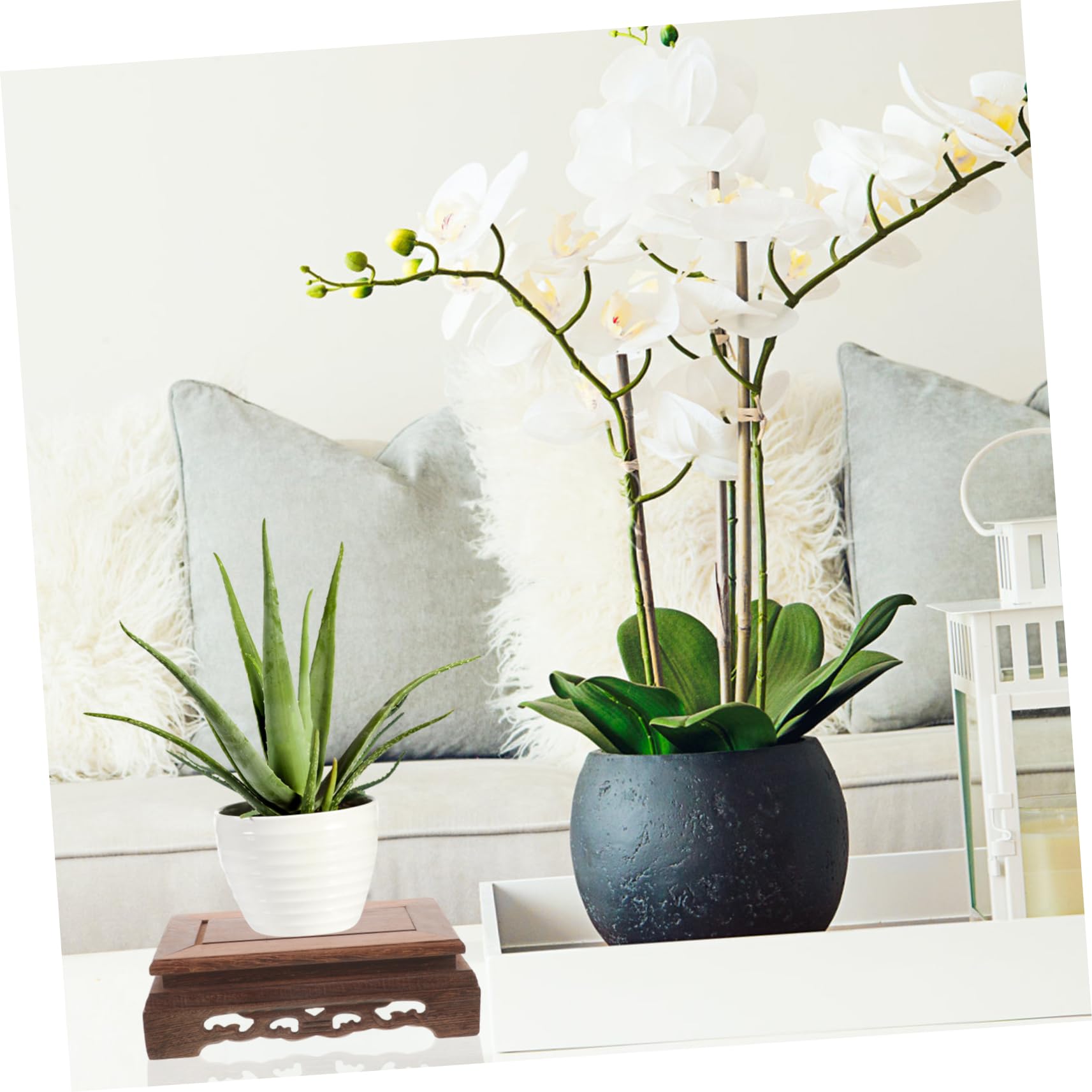 POPETPOP 4 Pièces Plante en Pot sur Pied Plantes Plante De Soutien Grand Support pour Plante sur Pied Porte-Plante D'intérieur Support De Jardinière pour La Maison Colonne Montante en Bois