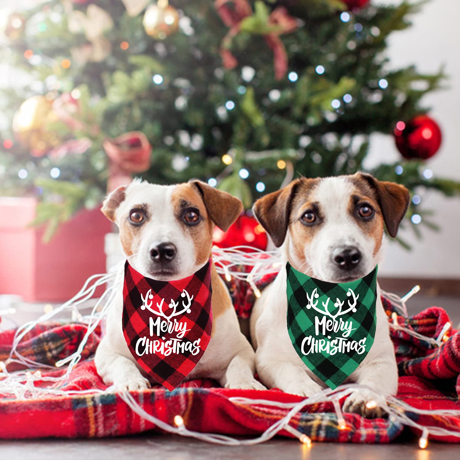 STMK Confezione da 2 bandane natalizie per cani, motivo natalizio con motivo a quadri, per feste di Natale, per cani di taglia piccola e media taglia (rosso e verde, Buon Natale)
