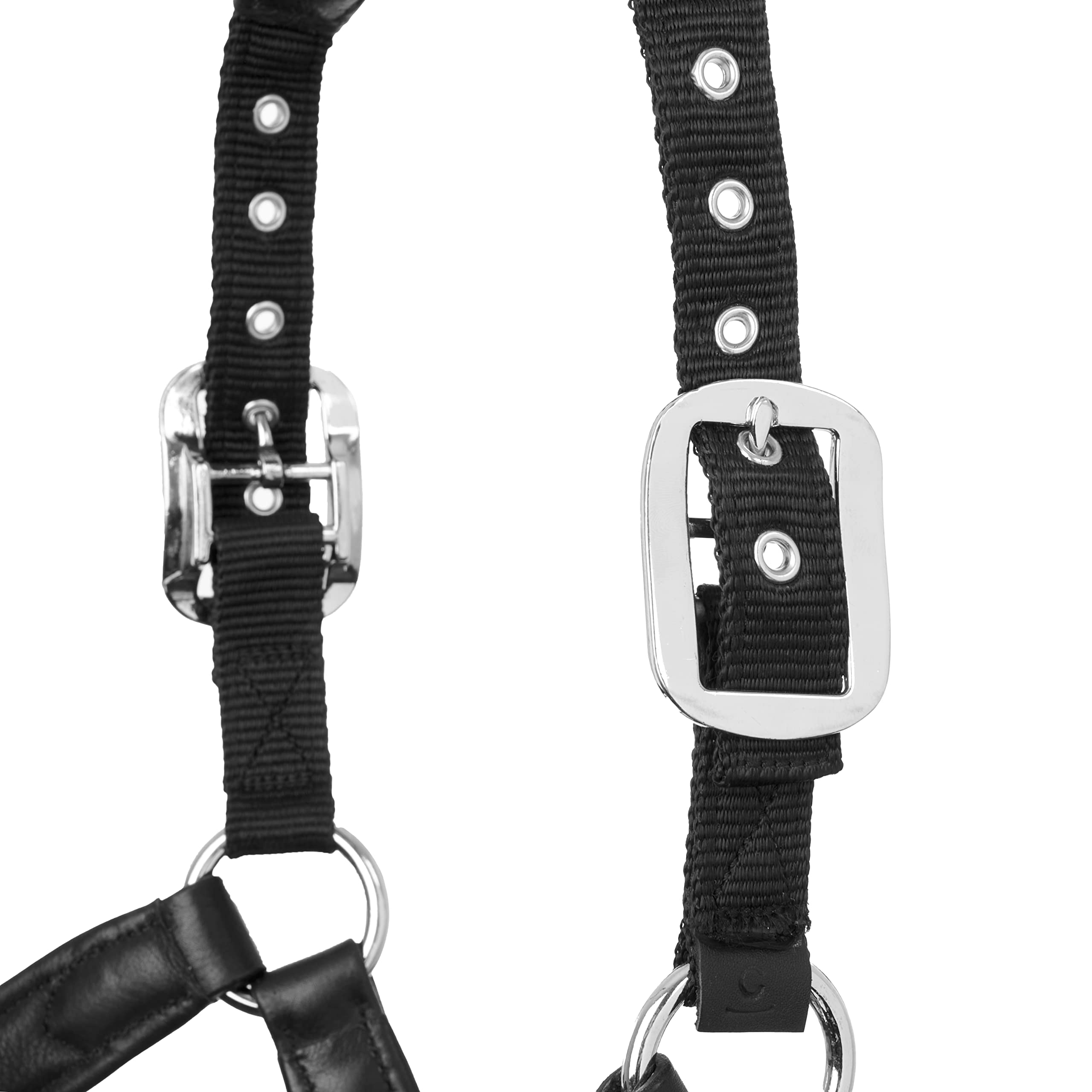 Lemieux Capella Headcollar Black - COB