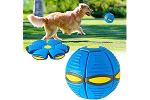 2024 Interactive Doggy Disc Ball