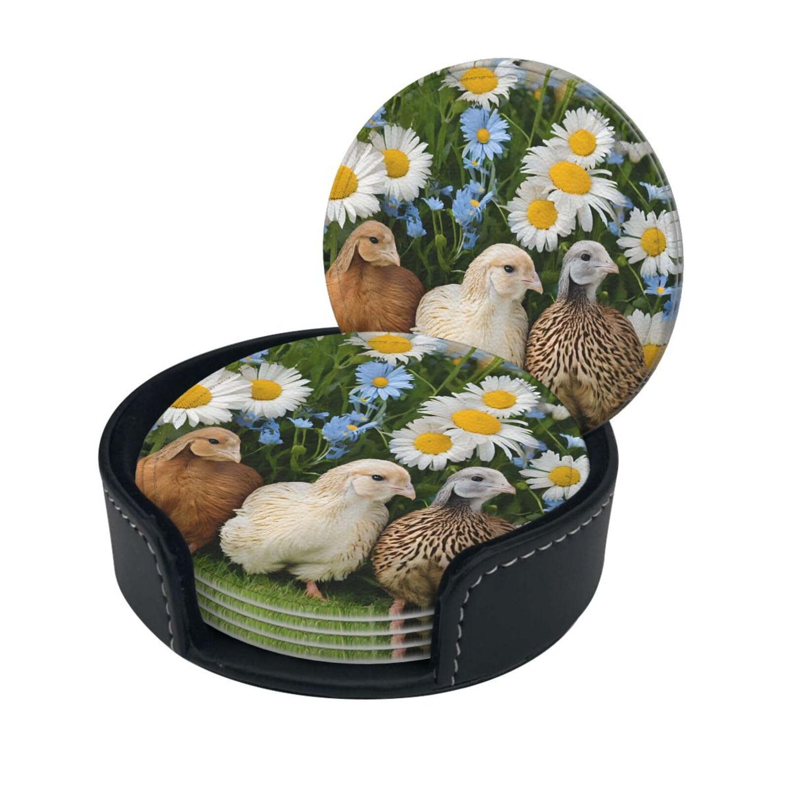 Cute Guinea Pig Print Coaster,Round Leather Coasters with Storage Box for Wine Mugs,Cold Drinks and Cups Tabletop Protection (6 Piece)