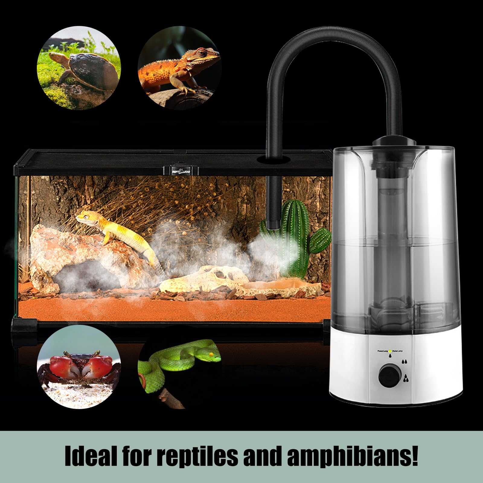 Reptilien Luftbefeuchter mit 4L Wassertank, Nebelgerät mit Ausziehbarem Rohr und Trockenlaufschutz, Ultraleiser Luftbefeuchter für Reptilien, Amphibien und Feuchtigkeitspflanzen