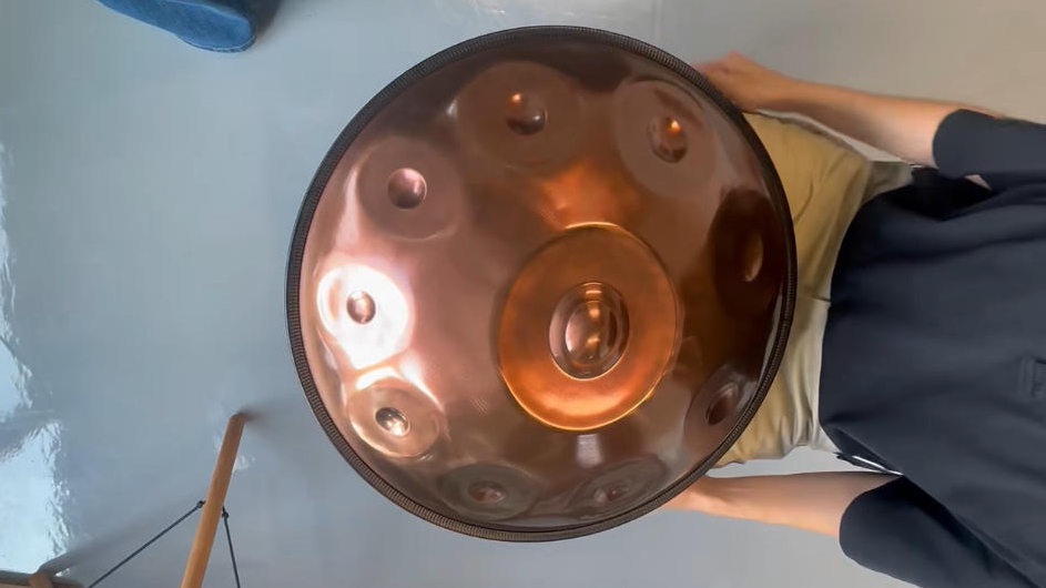 Amazon.com: Handpan Steel Drum Instrument 440Hz 10 Notes in D