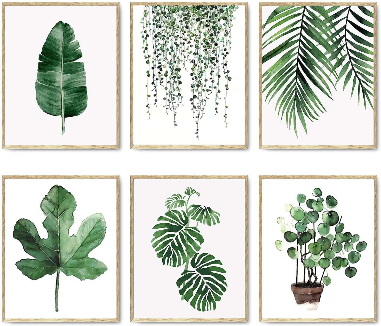 YTFG Botanical Plant Wall Art Prints Set,Aesthetic Room Decor Set of 6, 21 x 30cm Unframed Watercolour Green Botanical Poster Leaf Pictures,Home Decor Bathroom Kitchen Living Room,Leaf Prints