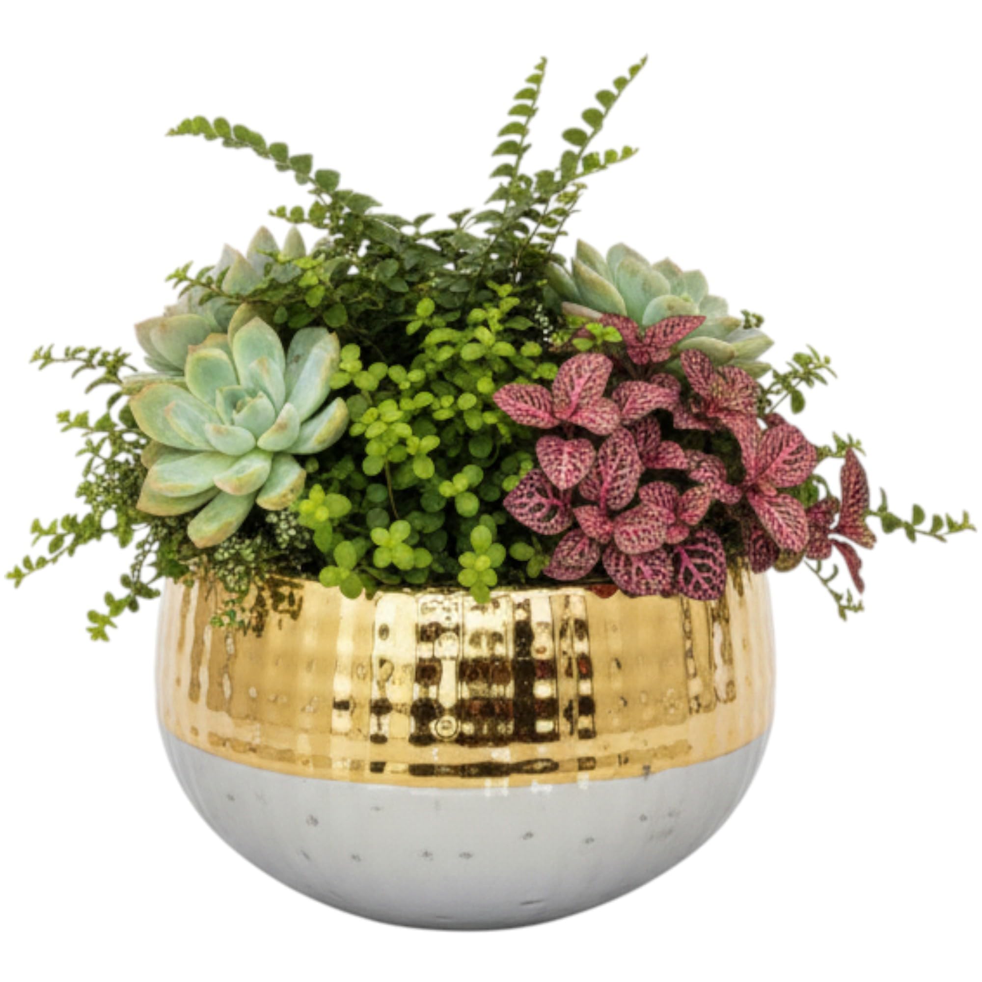 Garden Art Ceramic Pot - Home & Office Decor -9 Garden Art Ceramic Pot - Home & Office Decor -9