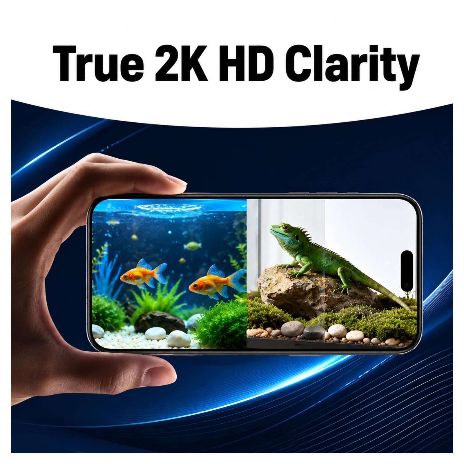 Cuifati Telecamera per acquario e terrario da 2 MP 2K, antiriflesso, senza foratura, per finestre, con rilevamento umano, Wi-Fi, visione notturna e registrazione 24 ore su 24, 7 giorni su 7