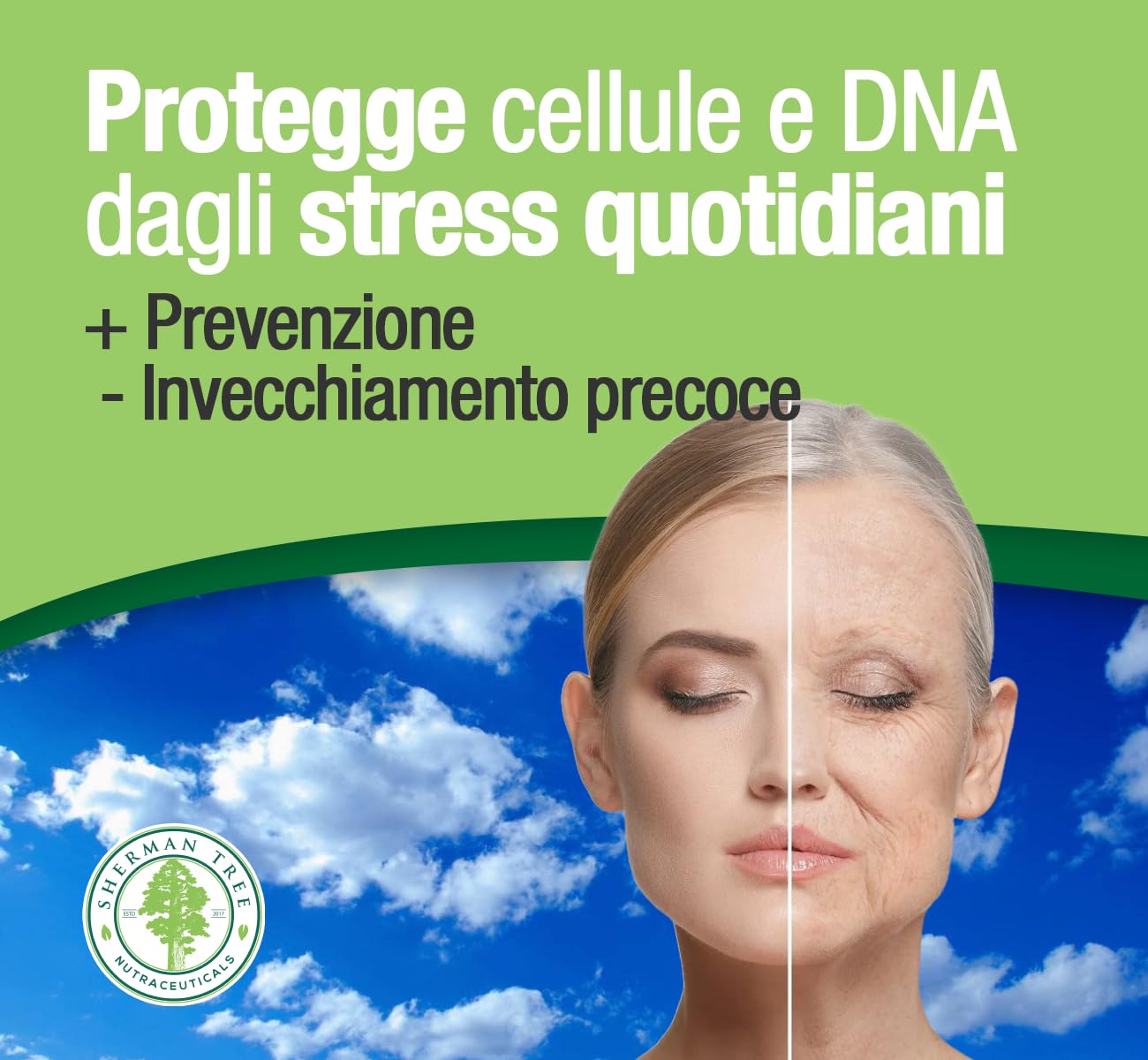 EGCG da tè verde ≥95% - Stimolante metabolico, blocca-fame, energizzante