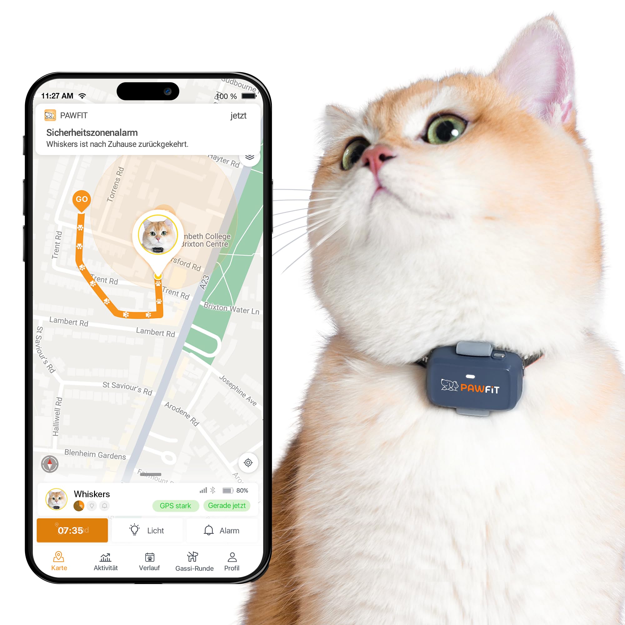 Pawfit Lite für Katzen 4G GPS Tracker | Echtzeit-Ortung | Aktivitätsüberwachung | Standortverlauf | Unbegrenzte Reichweite | Sicherheitshalsband inklusive | Kohlegrau