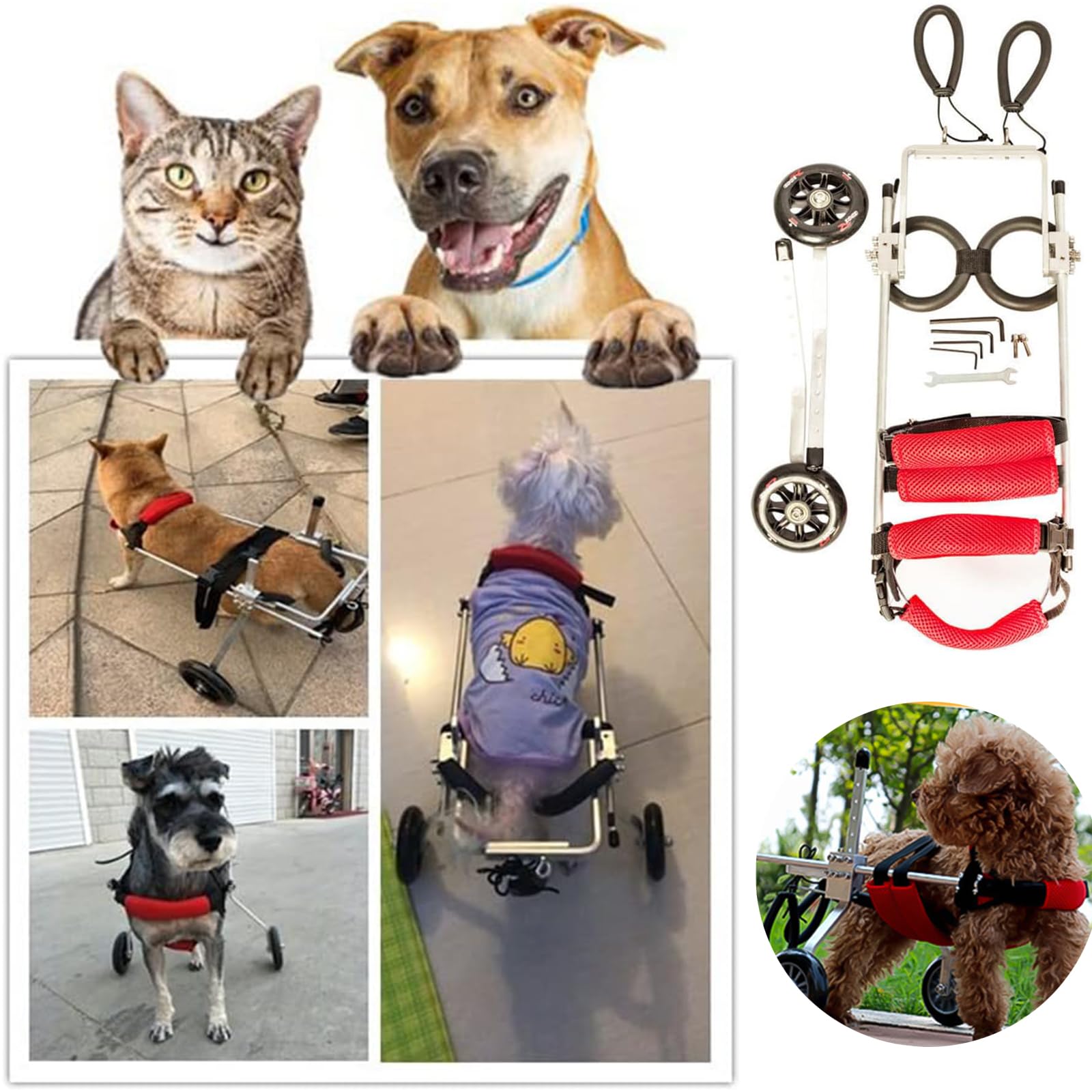 Carrello per Cani, Passeggino per Le Zampe Posteriori, Sedia A Rotelle per Animali Domestici per Zampe Posteriori, Gatti con Handicap Conigli Paralizzati Animali Disabili,XXS