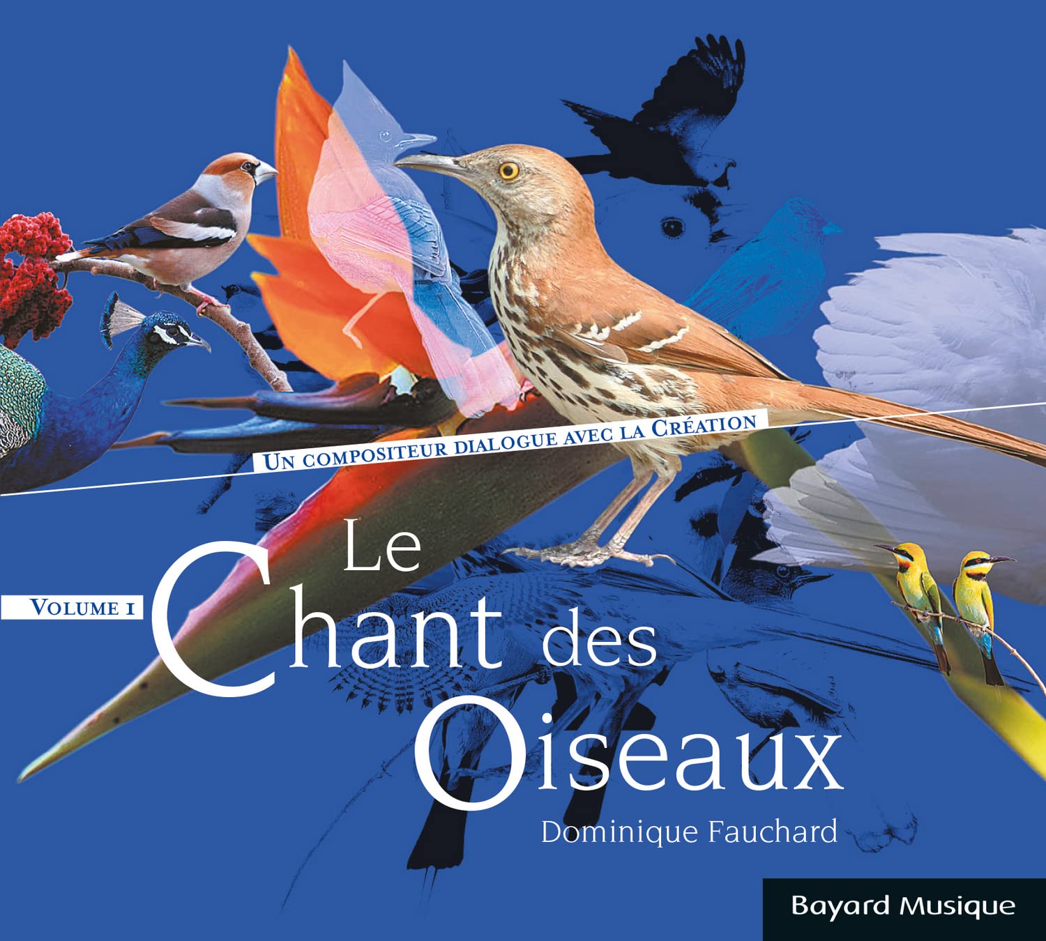 Le Chant Des Oiseaux [Audio CD] Dominique Fauchard
