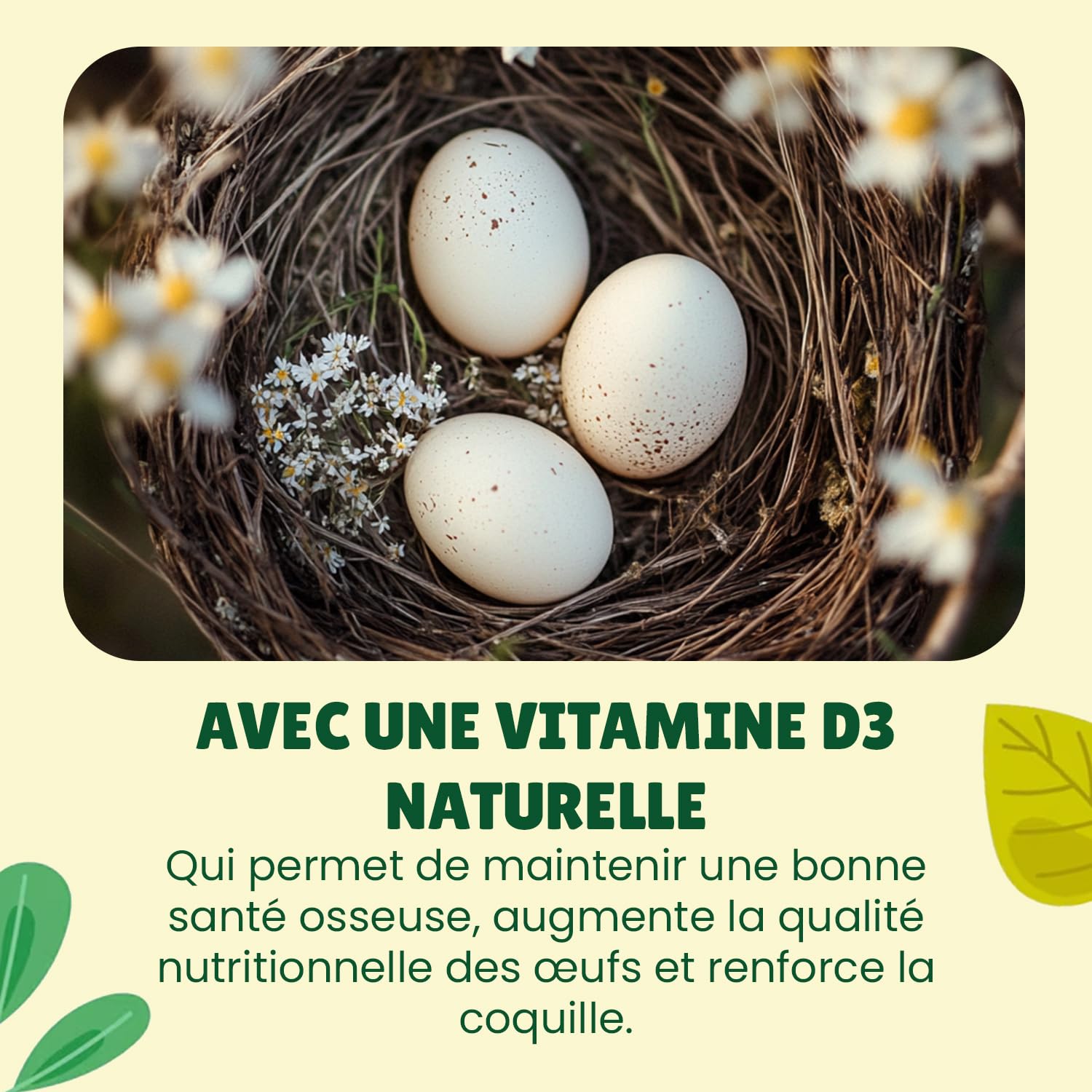 vers de Farine Séchés Français, 5kg (32,5L), 100% Naturel, Enrichis en Vitamines D3, Insectes Riches en Protéines et Bonnes Graisses, Nourriture Oiseaux Sauvages, vers de Farine Au Comptoir de Noé