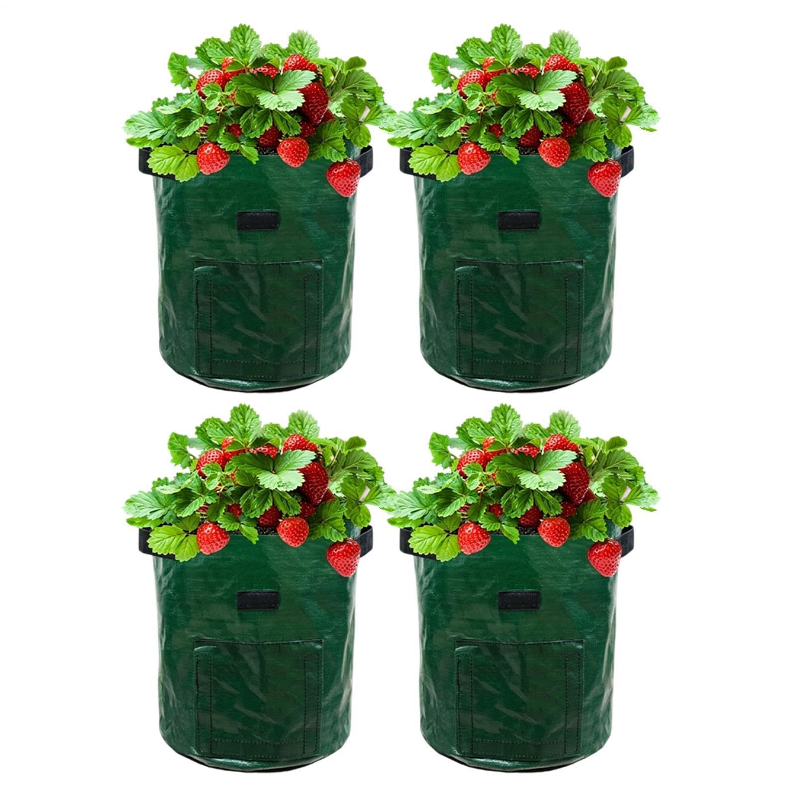 Bolsas de cultivo de tela para conectar con la naturaleza cultivando tus propias flores en el balcón