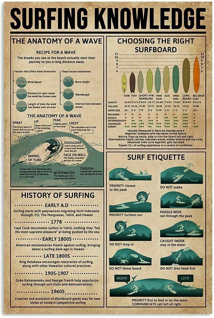 Haosensix Retro Tin Sign Surfing Knowledge Metal Signs Fun Education Infographic Metal Poster for School Club Bar Wall Art Decor Plaque 12x16 Inches
