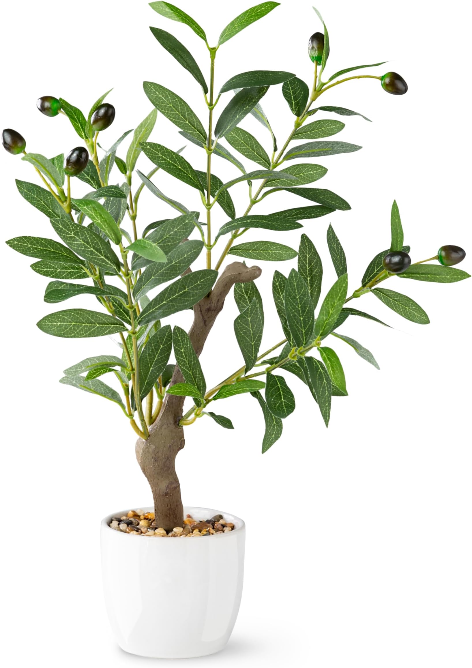 PASCH® Artificial Olive Tree (42 cm) in White Ceramic Pot: Realistic Plant | Fake Olive Tree | Small Artificial Plant in Pot