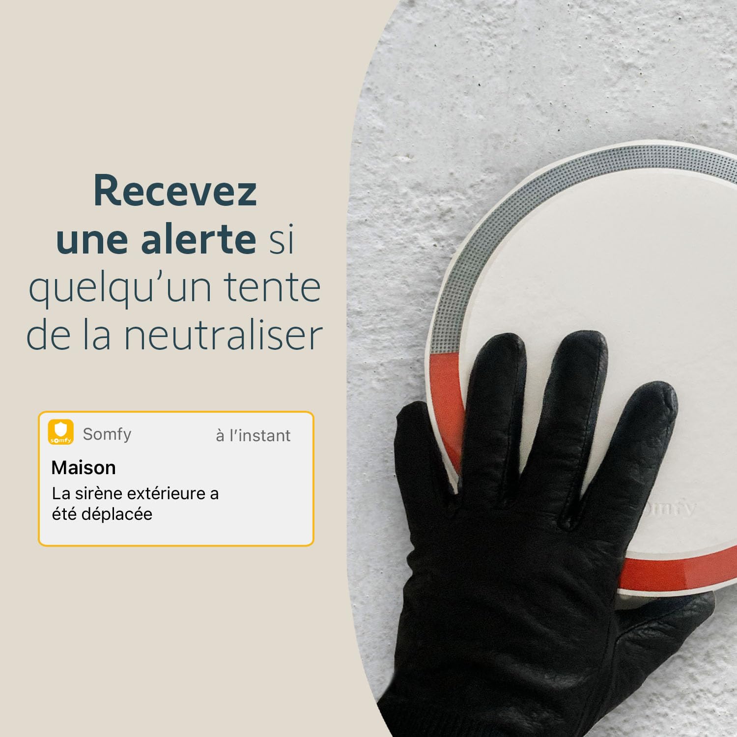 Somfy 2401491 - Sirène Extérieure Somfy Protect - Compatible gammes Home Alarm et Somfy One - 112dB & Flash Lumineux - Fabriqué en France