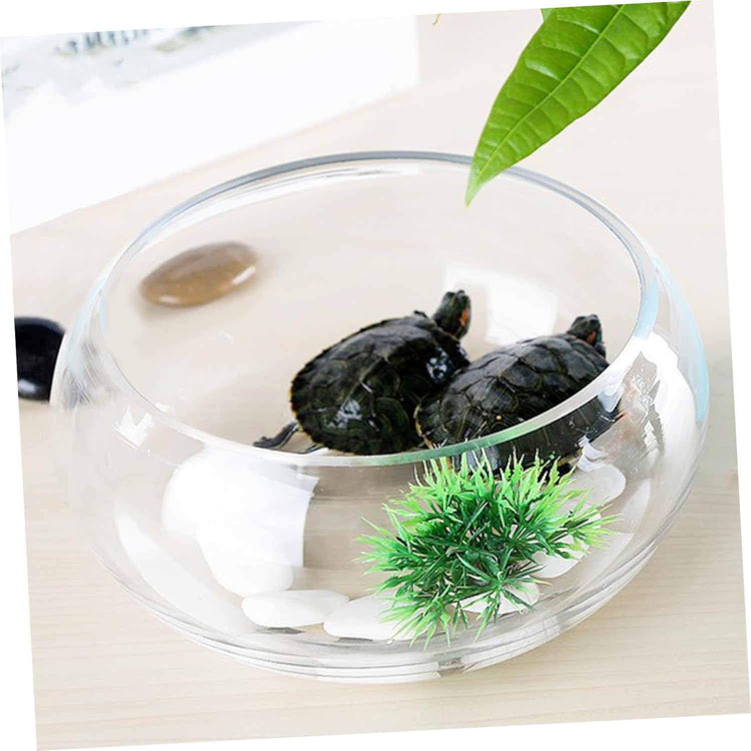 2pcs Round Glass Goldfish Bowl Modern Design Fish Tank Hydroponic Plant Pot Hydroponic Planter