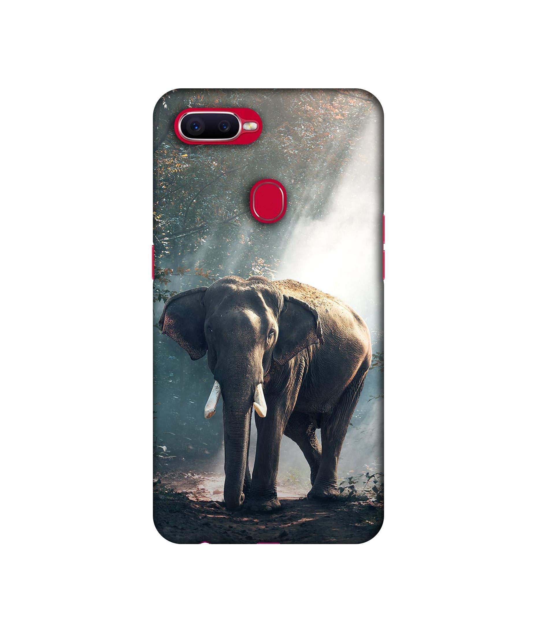 Amazon Brand - Solimo Designer Elephant 3D Printed Hard Back Case Mobile Cover for Realme 2 Pro