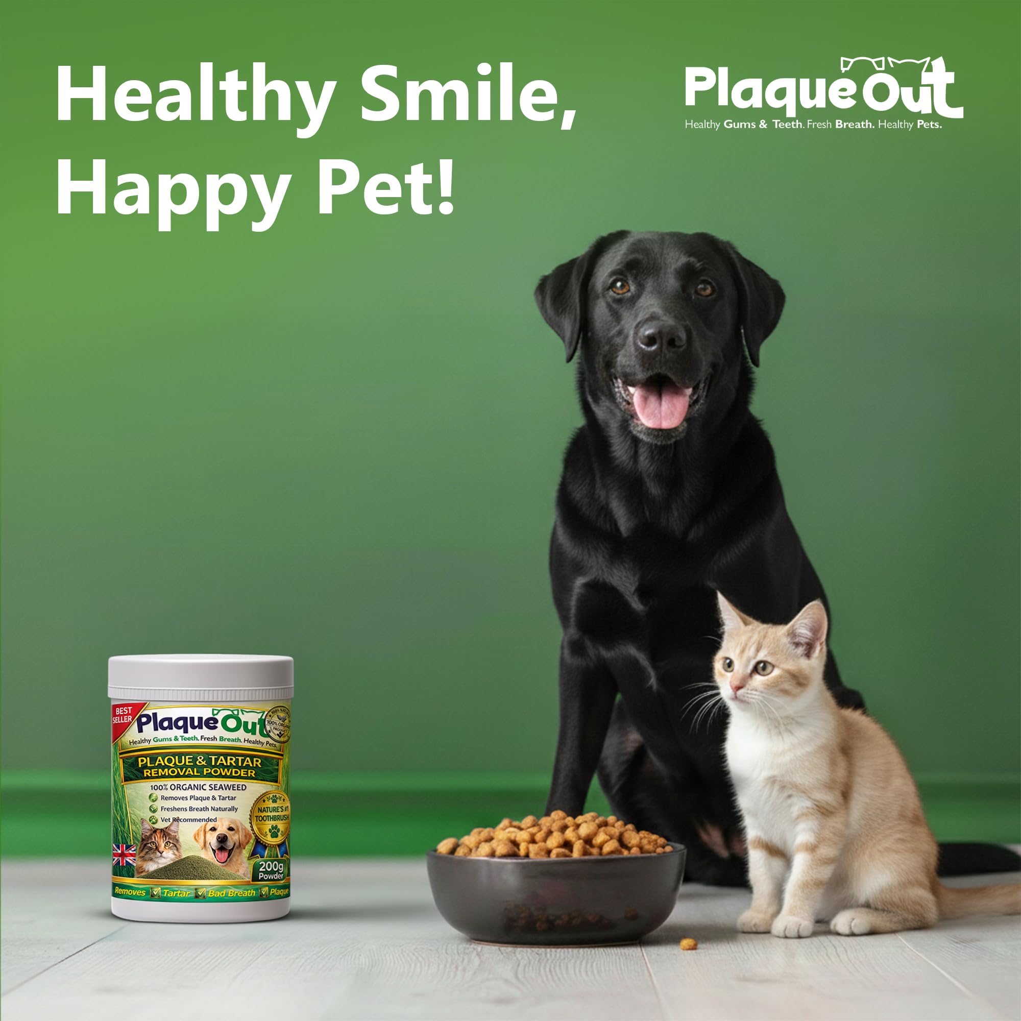 PLAQUE OUT Vasetto da 200 g, per rimuovere la placca tartaro per cani e gatti, 100% naturale e biologico, per la cura dei denti dell'alito cattivo e delle gengive degli animali domestici, vaso più