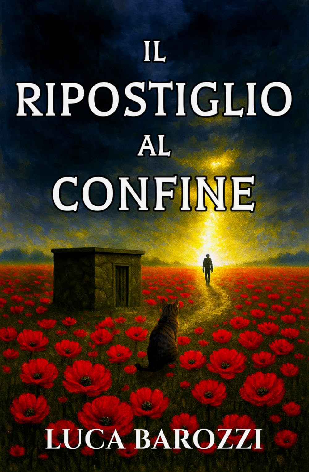 Il ripostiglio al confine
