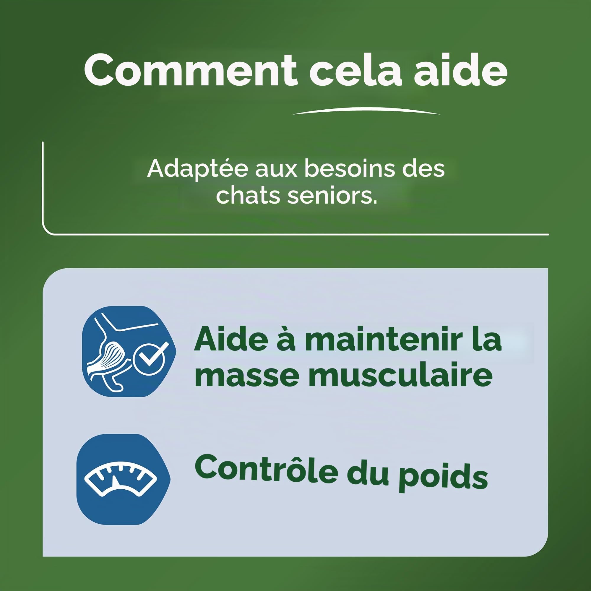 Ultima Expert Nutrition Nourriture Humide pour Chats stérilisés - Senior + 10 Ans - Boîte de 11 x (4 x 70 g)