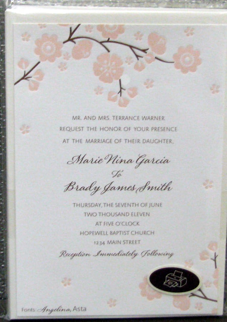 Hallmark Invitations PRT1180 PInk and Brown Invitations Kit Home & Kitchen