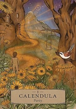 71qmnrczD8L._AC_UF350,