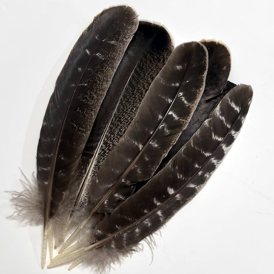 よーちゃん様オーダー品　七面鳥羽アクセサリーフロート倍量 よーちゃん様オーダー品 七面鳥羽アクセサリーフロート倍量 よー