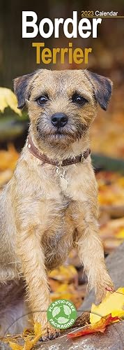 Border Terrier Slim Calendar 2023 | Dog Breed Slimline Calendar - 12 Month