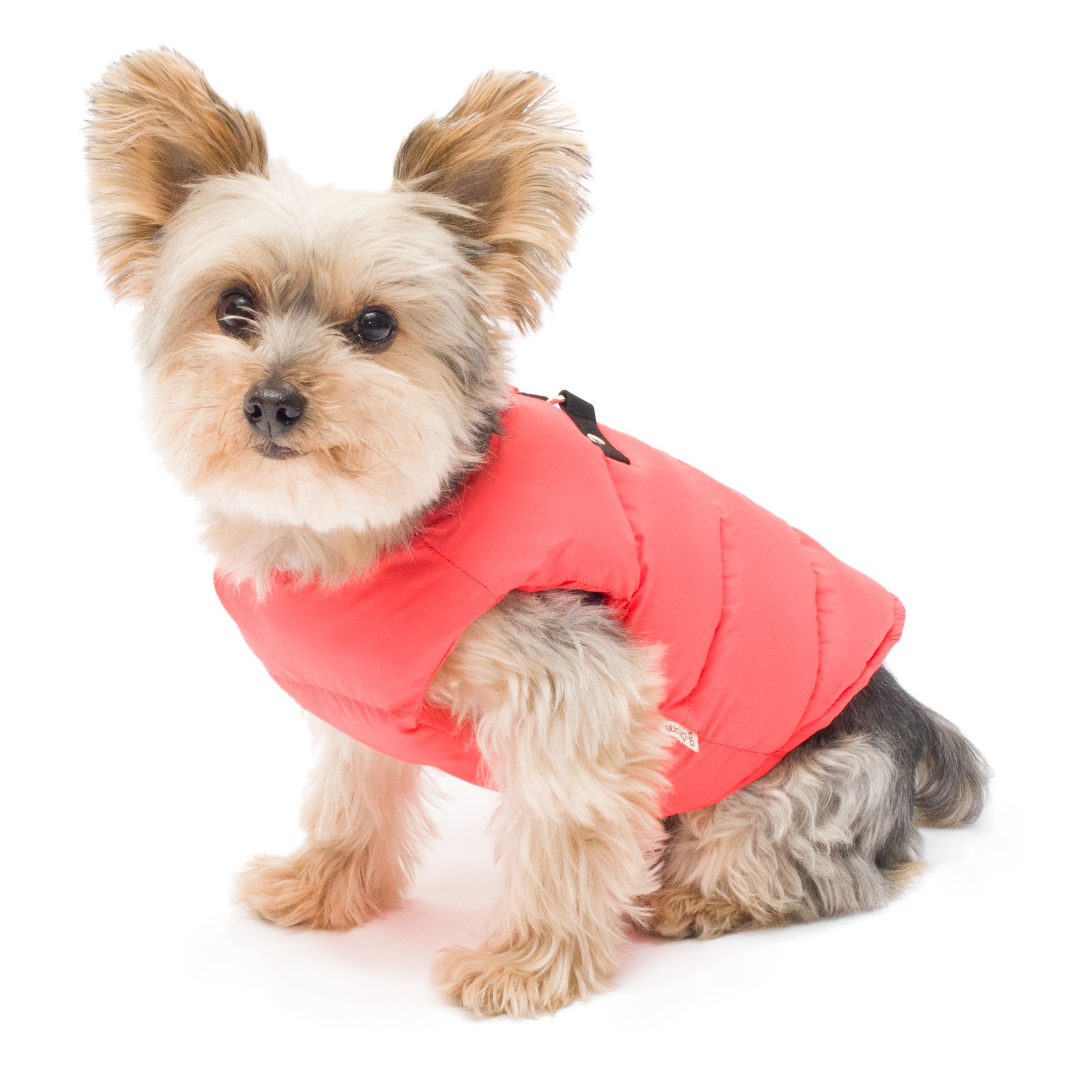 Puffy Dog Coat Watermelon Size #14