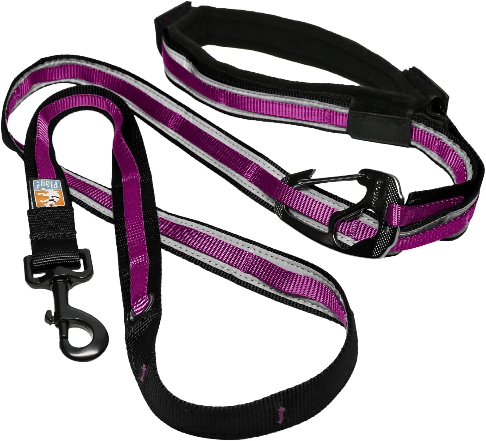Kurgo Quantum Leash 2.0 - Versatile for Running or Walking - 6 in 1 Dog Leash - Hands-Free Dog Leash - Adjustable - Strong & Durable - Raspberry