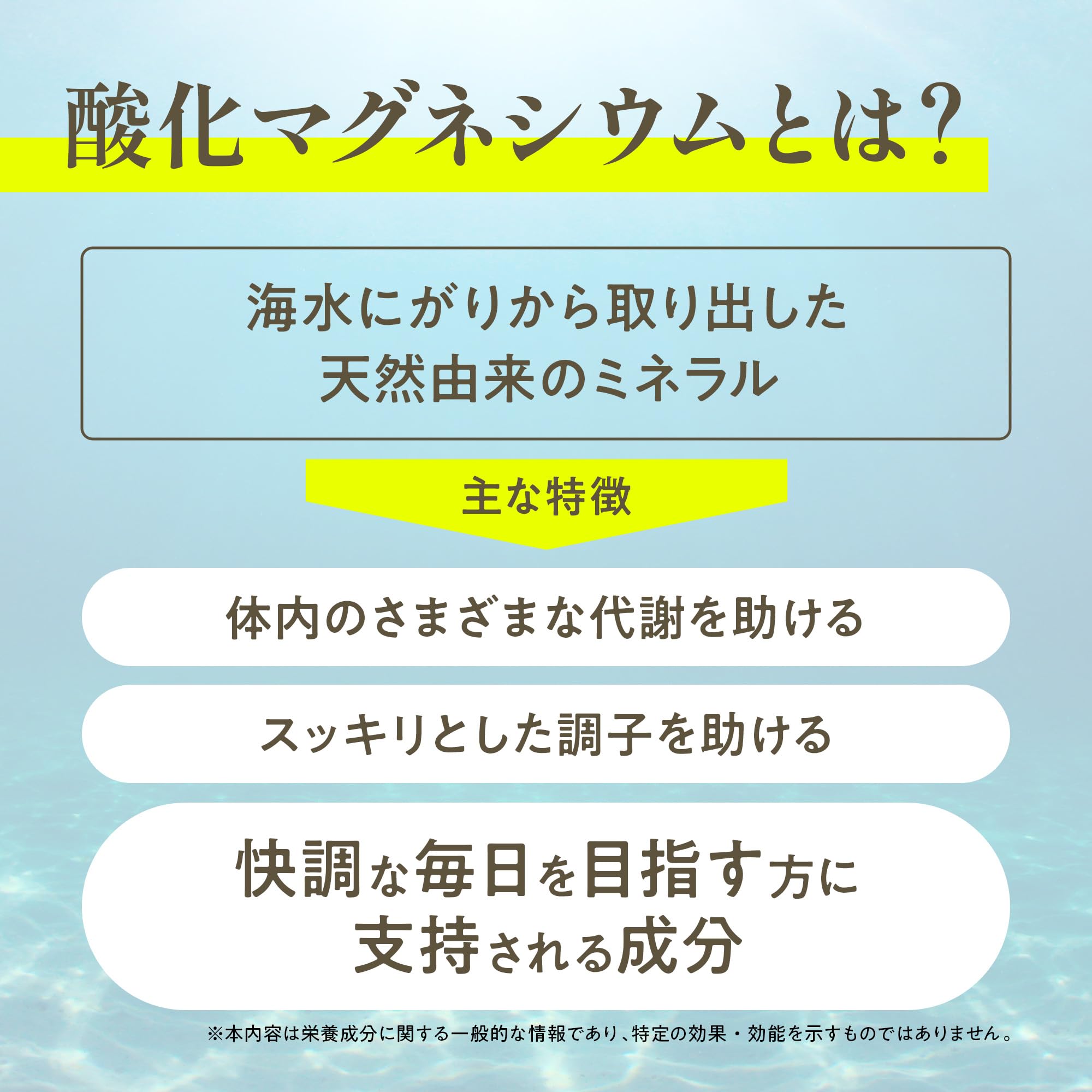 Nature In 酸化マグネシウム サプリメント 360粒【120日分】クエン酸 乳酸菌6兆個 ビタミンB1配合 国内製造 - 4